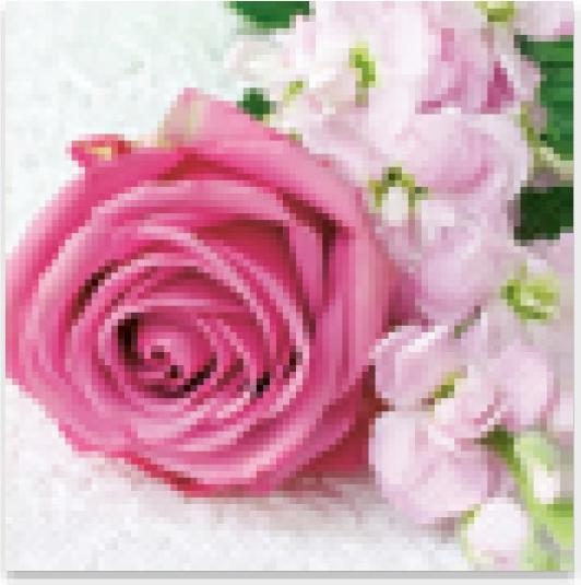 Produktbild Stewo Servietten (20 Stk., 33 x 33 cm)
