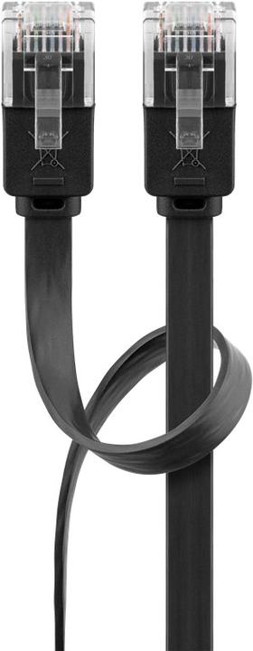 Image du produit Goobay Câble réseau (U/UTP, CAT6, 3 m)