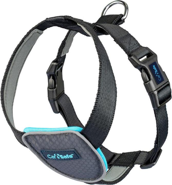 Actual product image Company of Animals CarSafe Autogeschirr (Dog)
