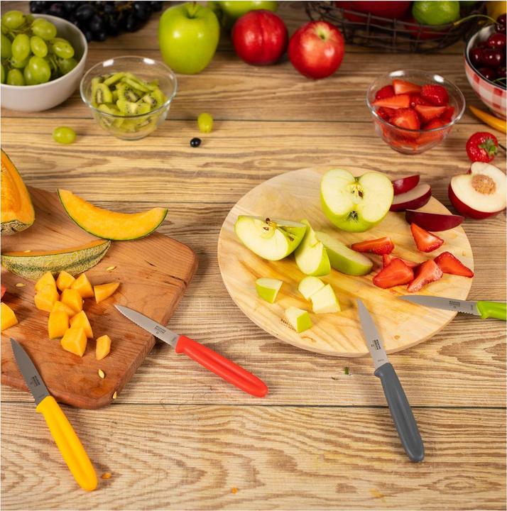 Produktbild Kuhn Rikon Swiss (9.50 cm)