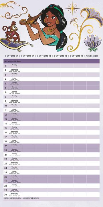 Produktbild Pyramid Disney Princess Calendar Family Planner w/Stickers 2026 (30 x 60 cm)