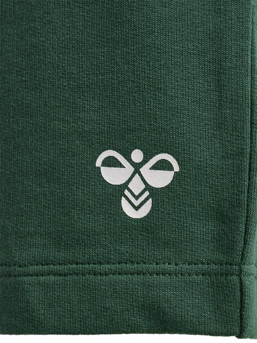 Produktbild hummel Hmltrue shorts (62)