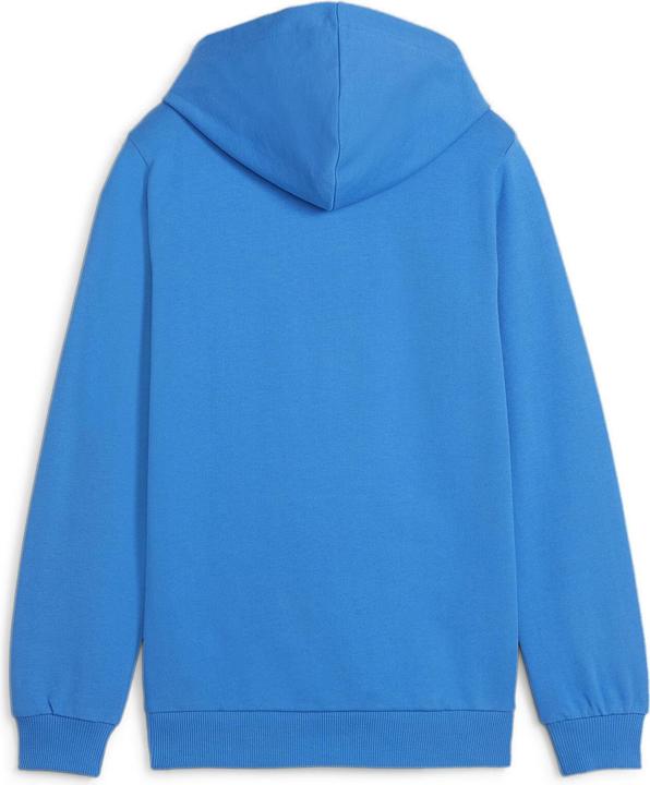 Actual product image Puma teamGOAL Casuals Hoody Jr (164)