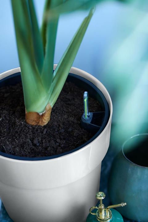 Actual product image Elho B.for Original Round (35 cm)