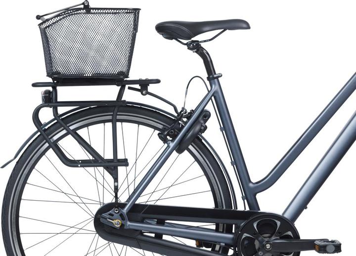 Produktbild Basil Base (14 l)