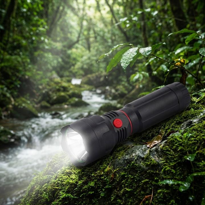 Actual product image Casativo 2in1 LED torch with work light (200 lm)