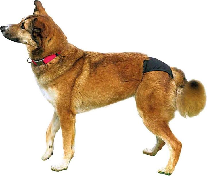Actual product image Trixie Protective panties XS 20-25cm (XS, Dog overalls)