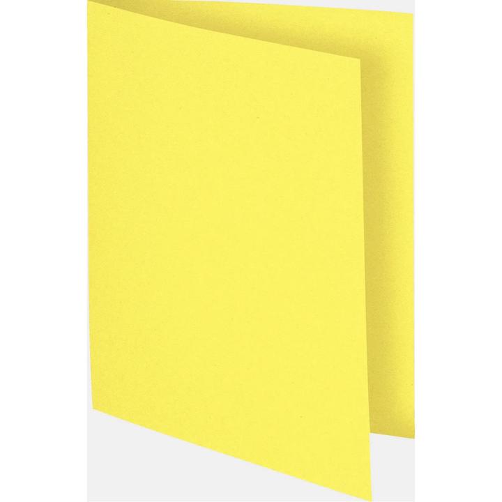 Immagine prodotto Exacompta Sammelmappen (A4, 100x)