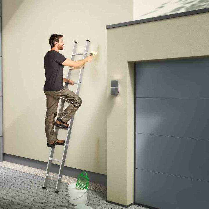 Actual product image Hailo S60 ProfiStep uno, aluminium single ladder, 6 rungs (Single ladder, 80 cm)