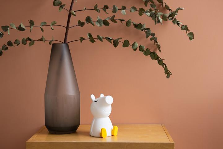 Image du produit Mr Maria My First Light