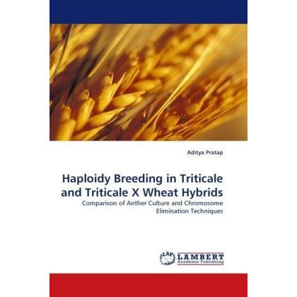 Haploidy Breeding in Triticale and Triticale X Wheat Hybrids, Fachbücher von Aditya Pratap