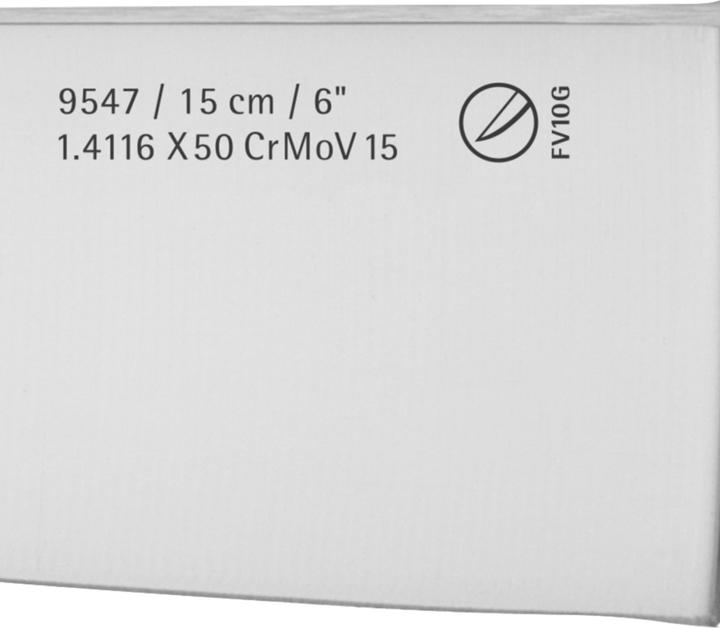 Actual product image WMF Top class plus (15 cm)