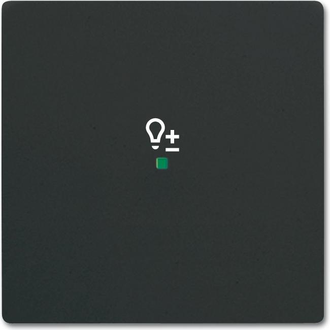 Produktbild Busch-Jaeger Busch-Jäger Wippe 1-fach, mit Symbol "Dimmer" 6234-10-885