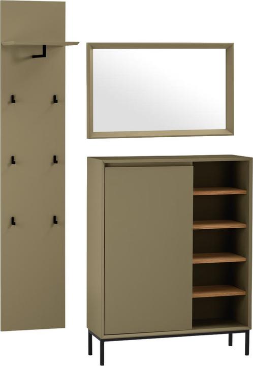 Actual product image pfister Frame