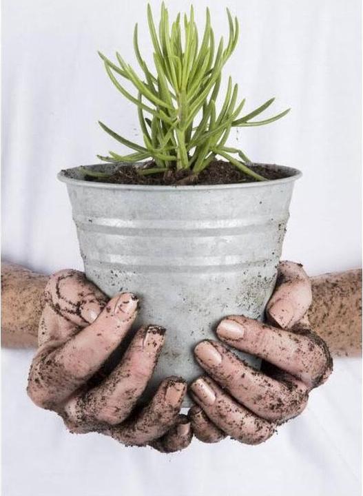 Produktbild Esschert Design Eimer (14.40 x 14.40 x 13.10 cm)