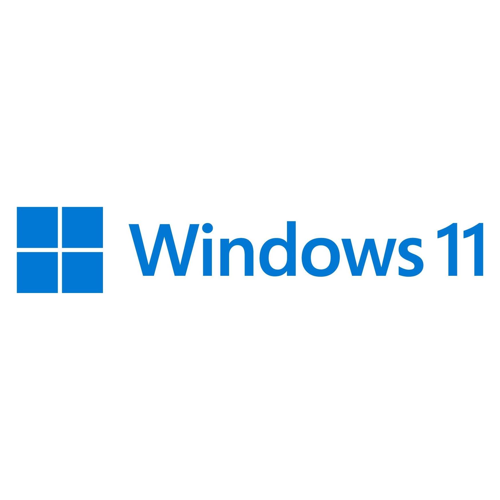 Microsoft Win 11 Pro for Wrkstns 64Bit Eng Intl DSP OEI DVD pour Windows