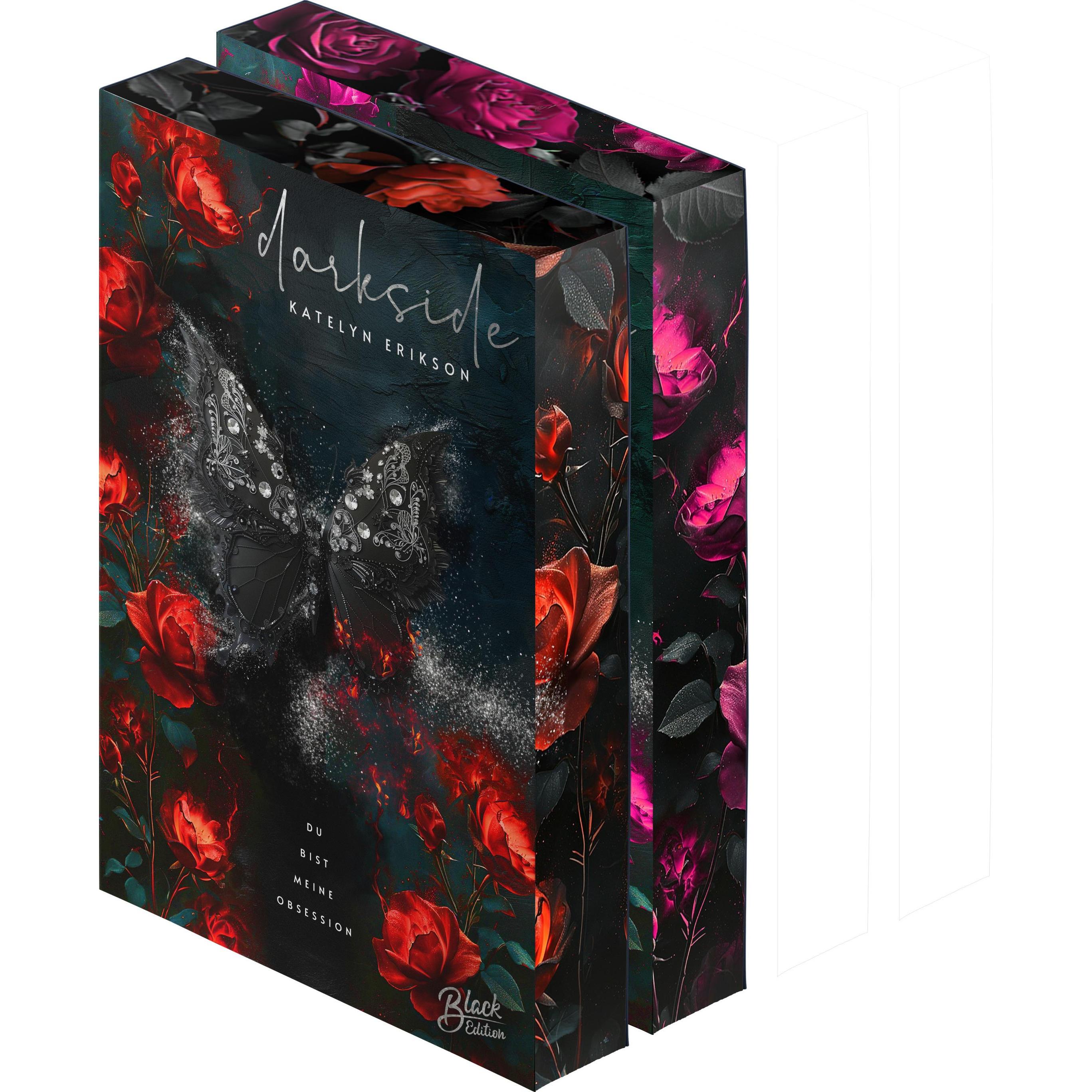 Darkside, Belletristik von Katelyn Erikson