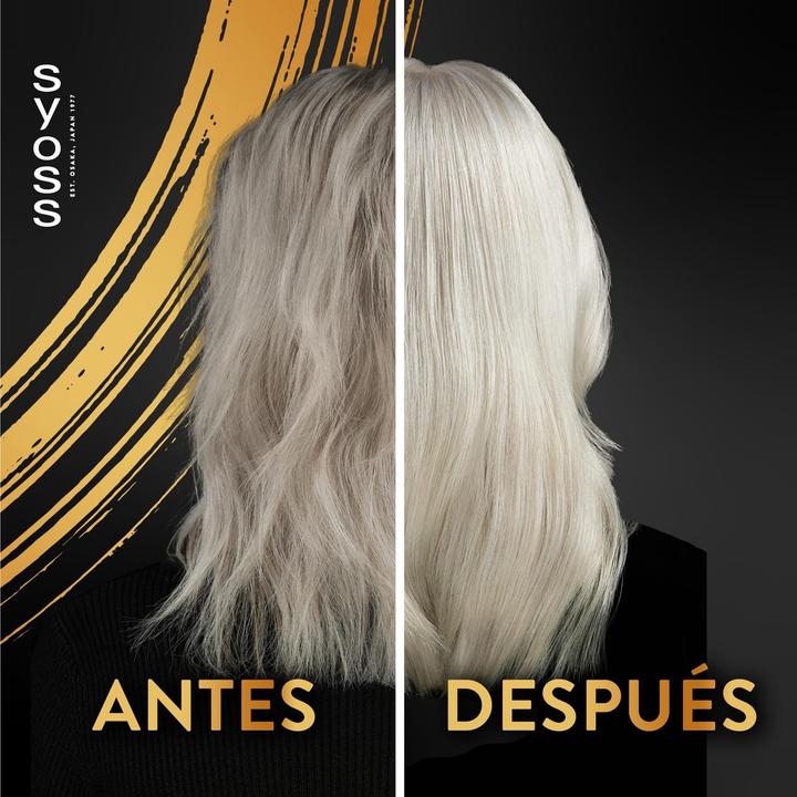 Image du produit Syoss Shampooing réparateur pour cheveux secs et abîmés 440ml (440 ml, Shampoing liquide)