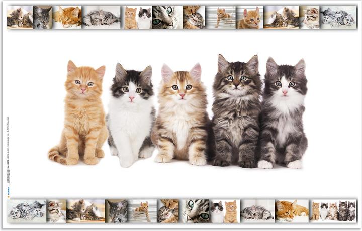 Produktbild HERMA GmbH Schreibunterlage Katze 55x35cm (55 x 35 cm)