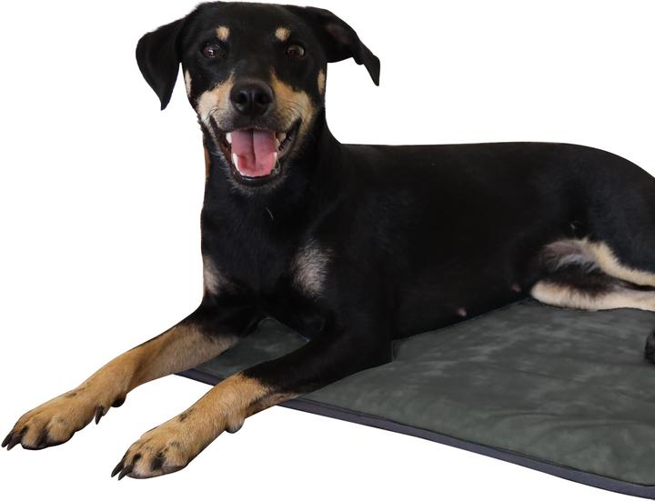 Actual product image Aspero Dog blanket Lund - 8613 (Dog)