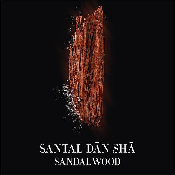 Actual product image Giorgio Armani Santal Dān Shā Eau de Toilette 50ml (Eau de toilette, 50 ml)