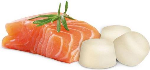 Produktbild beaphar Schafsfett mit Lachs (245 g)