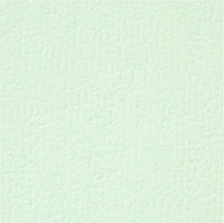 Produktbild Creativ Company Karton Hellgrün A4 220g, 10 Stk. (220 g/m², 10 x)