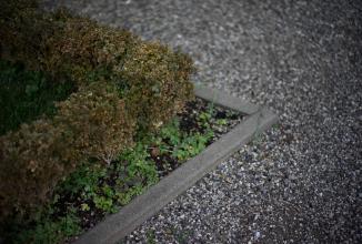 Produktbild Voigtländer Nokton 50mm / 1.2 VM asph. (Leica M, Vollformat)