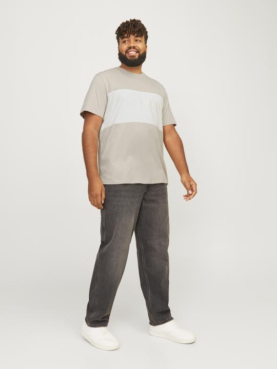 Produktbild Jack & Jones Jjelegacy Blocking Tee Ss O-Neck Noo Pls (8XL)