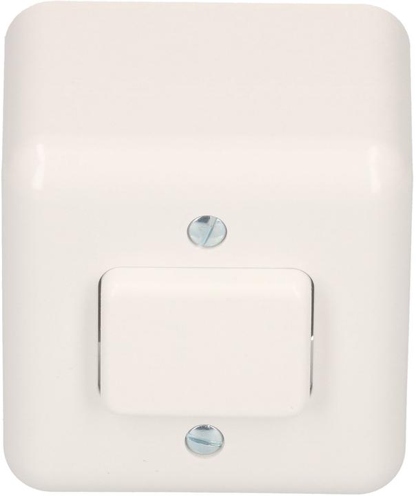 Mica 1fach Einsatz Wechselschalter