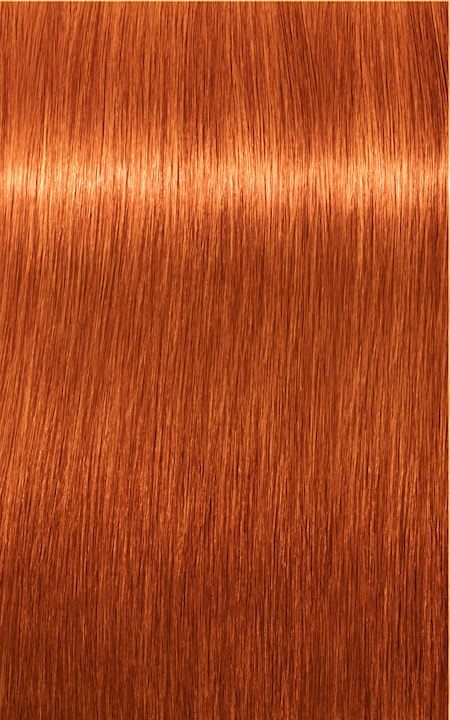 Produktbild Schwarzkopf Professional Igora Expert (100 ml)