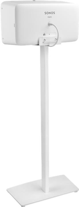 Produktbild Cavus CSP5W (1 Stk., Wandmontage, Drehbar, Höhenverstellbar)