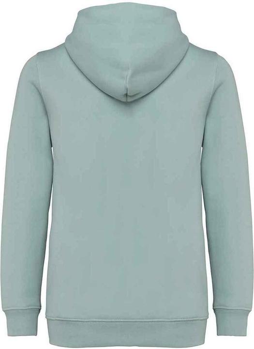 Produktbild Native Spirit Hoodie mit durchgehendem Reissverschluss (122, 128)
