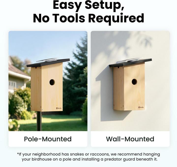 Actual product image Birdfy Nesting box with camera and solar