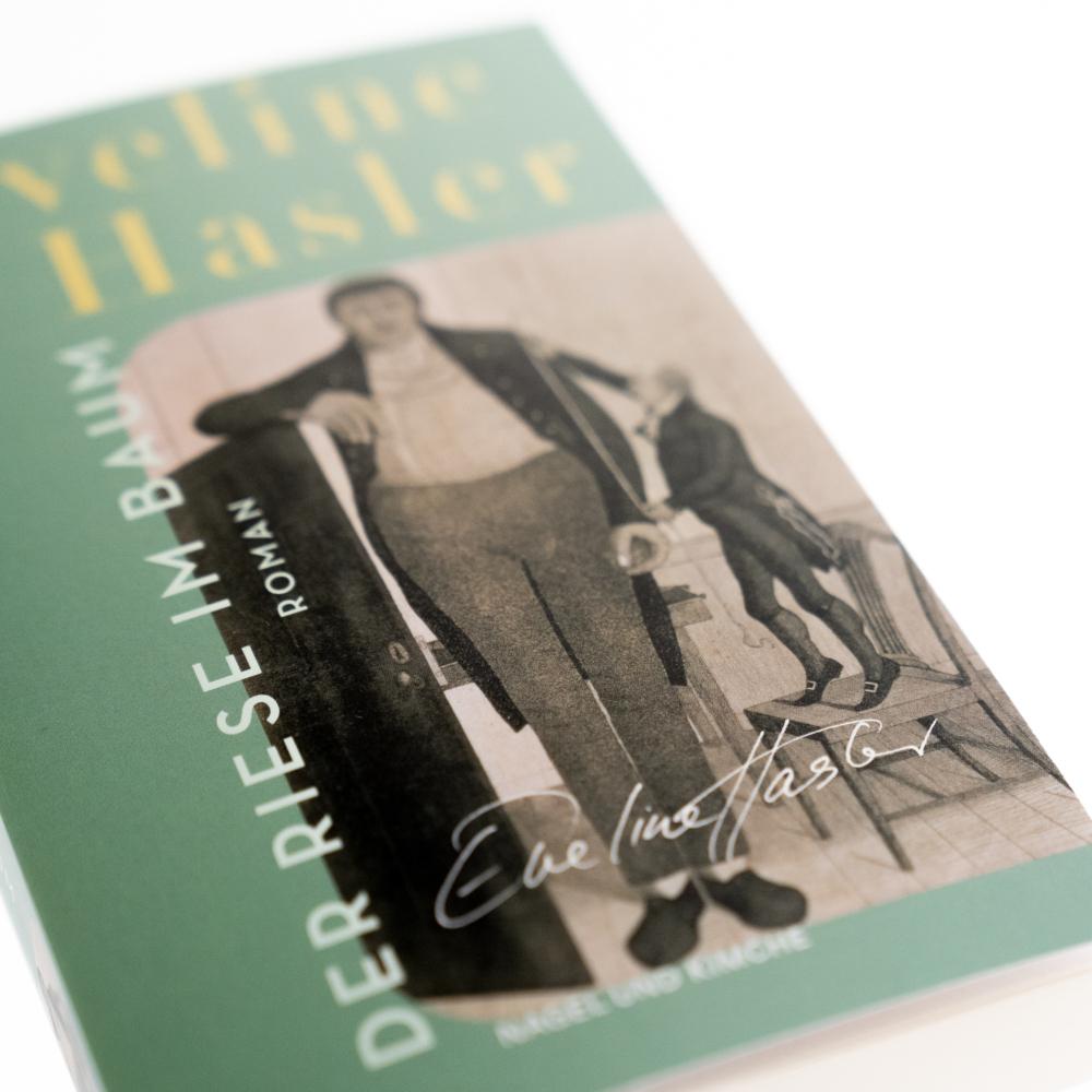 Thumbnail - Der Riese im Baum, Belletristik von Eveline Hasler