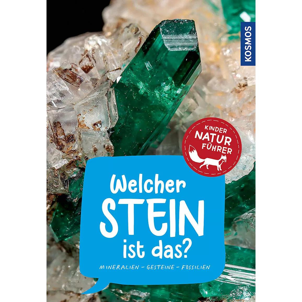Welcher Stein ist das? Kindernaturführer, Kinderbücher von Rupert Hochleitner
