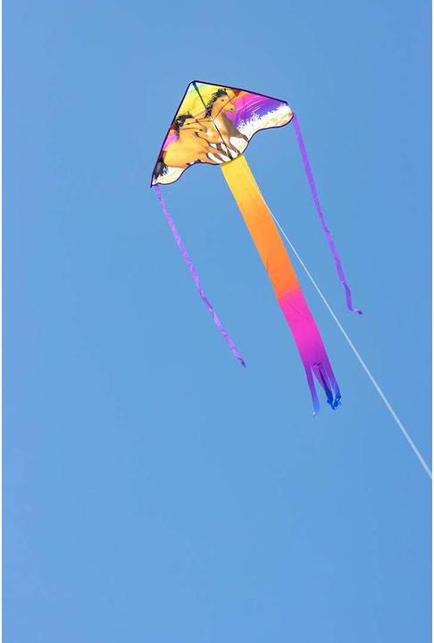 Actual product image Invento Kite Simple Flyer Wild Horses 85x42 cm, from 5 years
