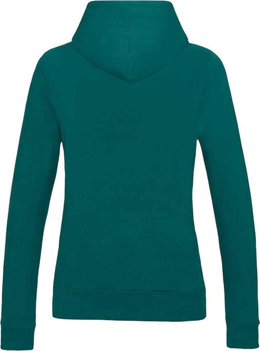 Produktbild Awdis College Kapuzenpullover (S)
