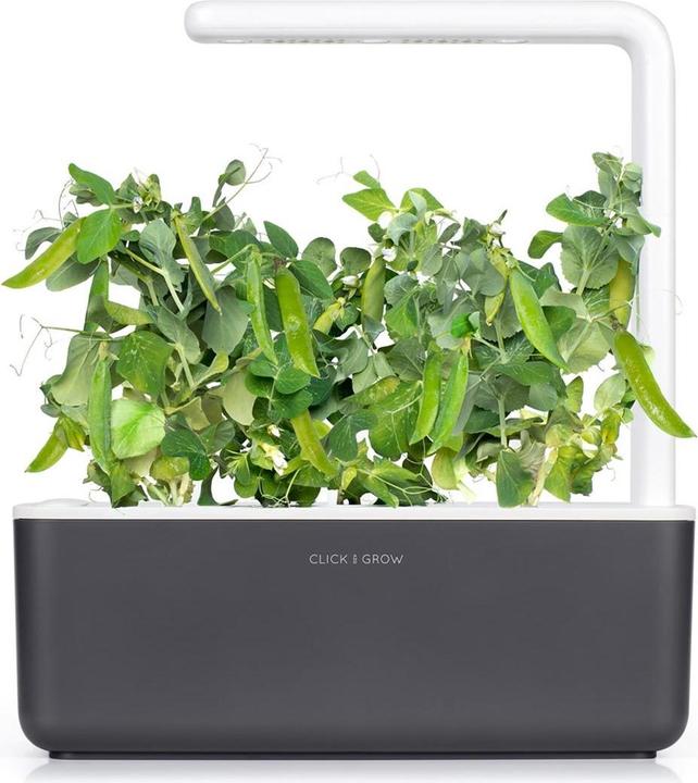 Immagine prodotto Click and Grow Piselli nani (Semi di verdura)