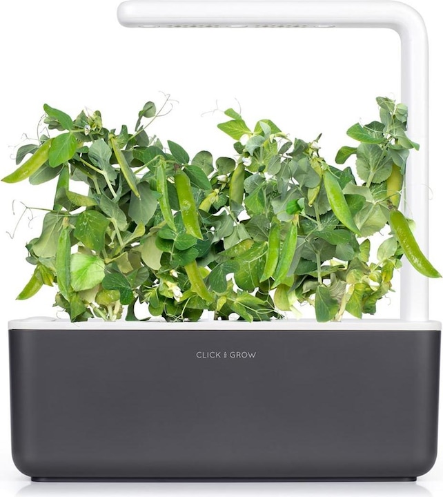 Immagine prodotto Click and Grow Piselli nani (Semi di verdura)