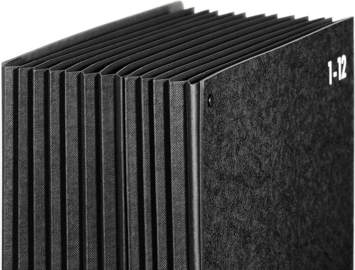 Produktbild Pagna Pultordner Classic (A4, 1x)