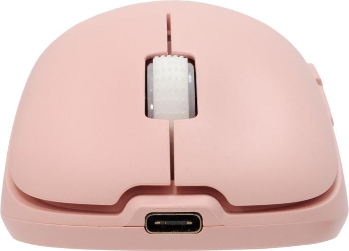 Actual product image White Shark Shark WGM-5015 Aero Pink (Wireless)