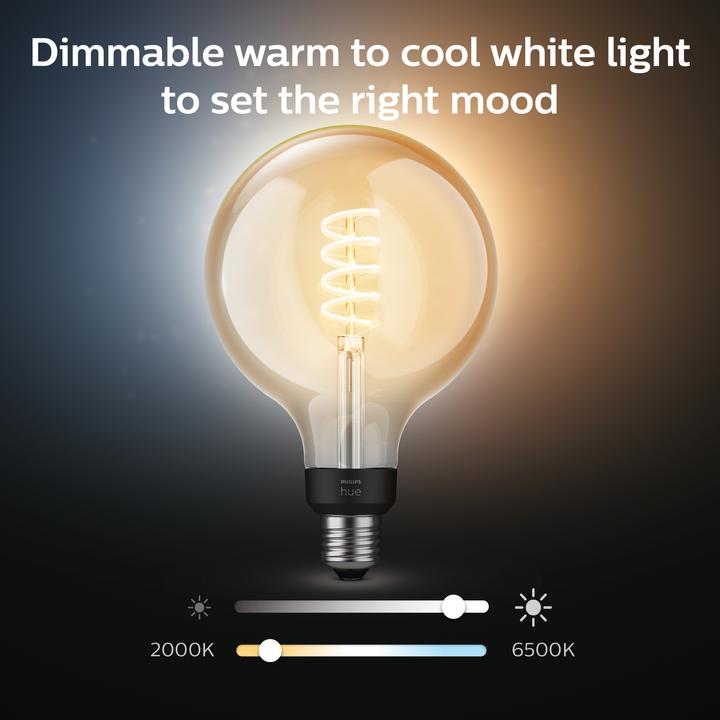 Produktbild Philips Hue Philips E27 Einzelpack Giant Globe (E27, 7 W, 550 lm, 1 x, G)
