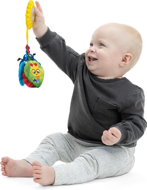 Actual product image Baby Einstein Touch of Nature™ Sensory Toy