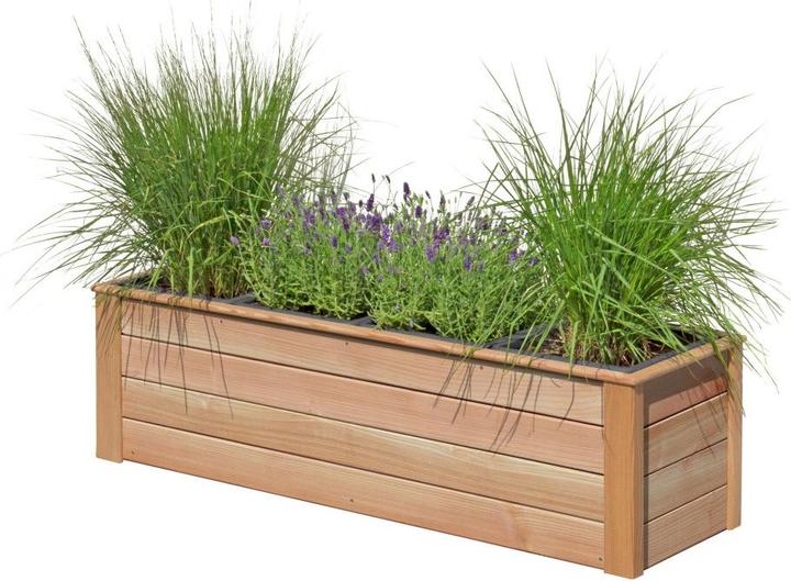 Produktbild Neogard Lärche