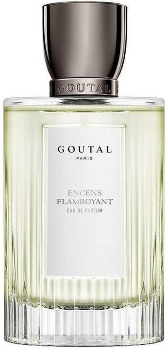 Immagine prodotto Annick Goutal Eau de Parfum Uomo (Eau de parfum, 100 ml)