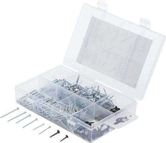Immagine prodotto BGS Assortimento chiodi a testa piana 750 pz. (750 Pezzo/i, 32 mm)