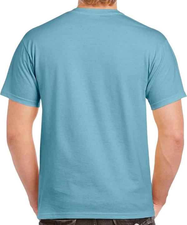 Actual product image Gildan Mens Heavy Cotton T-Shirt (3XL)