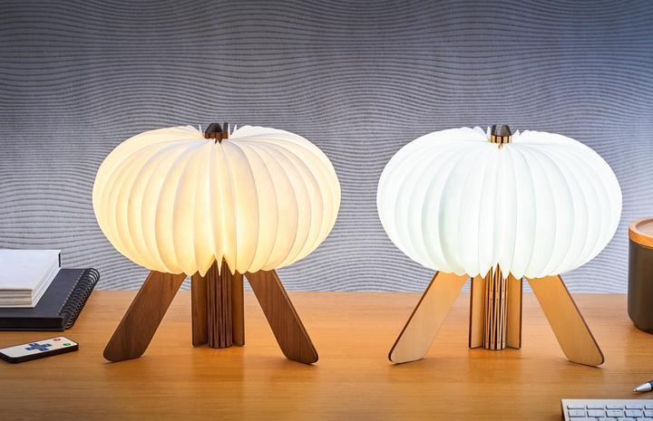 Produktbild Gingko The R Space Lamp