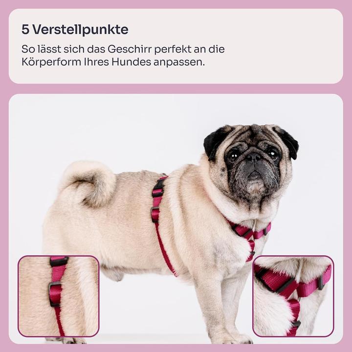 Actual product image Chaba SZELKI GUARD "L" BORDOWE 35-60 / 50-75 /2,5cm (L, Dog, Walks)